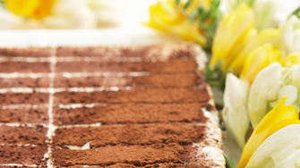 Low Res PNG-Tiramisu-square_6